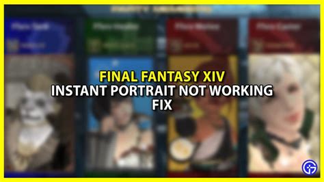 ffxiv portraits|ffxiv portraits not working.